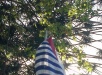 Bandera de Canelones