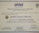 Diploma del curso taller.