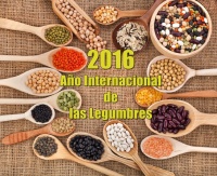 Año Internacional de las Legumbres