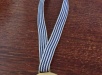 Medalla de Mauricio Cruz Campeón del Torneo Juvenil de Ajedrez