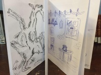 Libro ilustrado