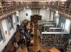 Sala de Lectura. Visita Guiada