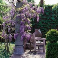 Curso de Jardinería