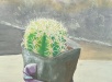 Expo_Figari 03