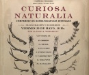 Afiche