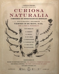 Afiche