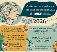 Afiche