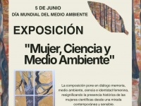 Afiche