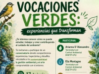 Afiche