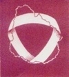 Características del Logo de la Biblioteca Centrl