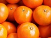 Mandarina