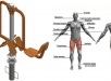 Press de Piernas (Jinete). Cuadriceps, Poteriores Muslo, Glúteos