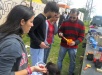 Fiesta primavera Maldonado Nuevo