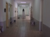 Pasillos del liceo Rubino