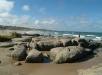 Punta del Diablo