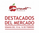 Recomendaciones del Mercado Modelo