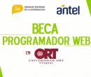 Beca de Programador Web para Red USI