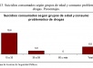 Gráfico 13