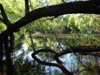 Ambientes naturales presentes en el área propuesta a proteger.