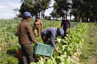 Día del trabajador rural