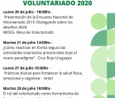 Ciclo de encuentros virtuales  Voluntariado 2020