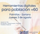 Palmitas: Taller de herramietas digitales